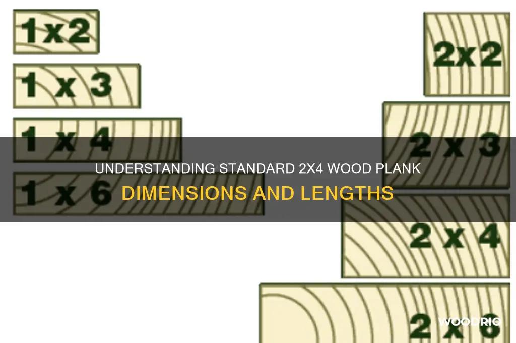 how long is a 2 x 4 plank of wood