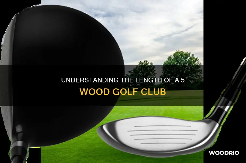 how long is a 5 wood