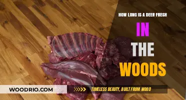 How Long Does Fresh Deer Meat Last in the Woods?