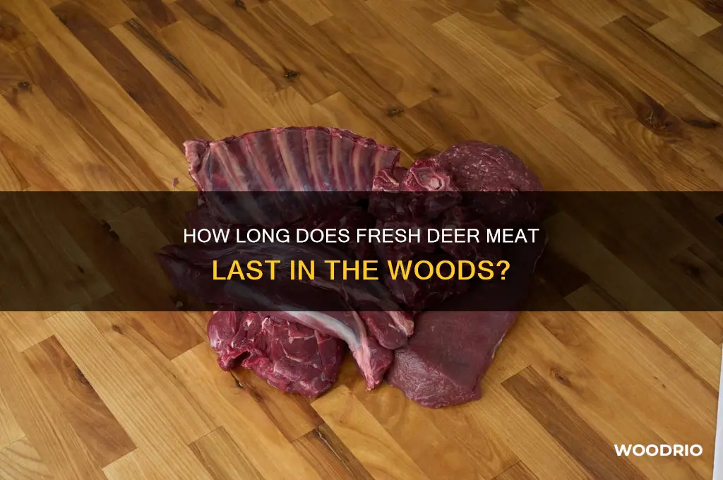 how long is a deer fresh in the woods