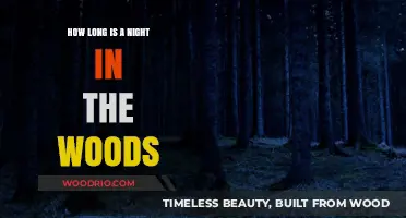 Exploring the Duration of a Night in the Woods: A Detailed Guide