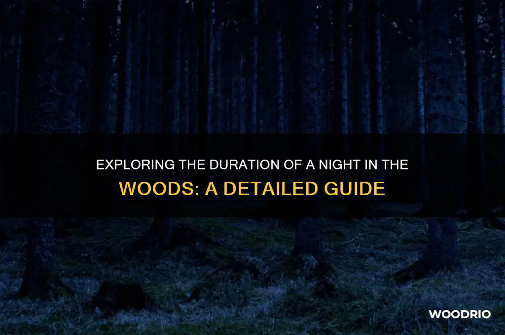 how long is a night in the woods
