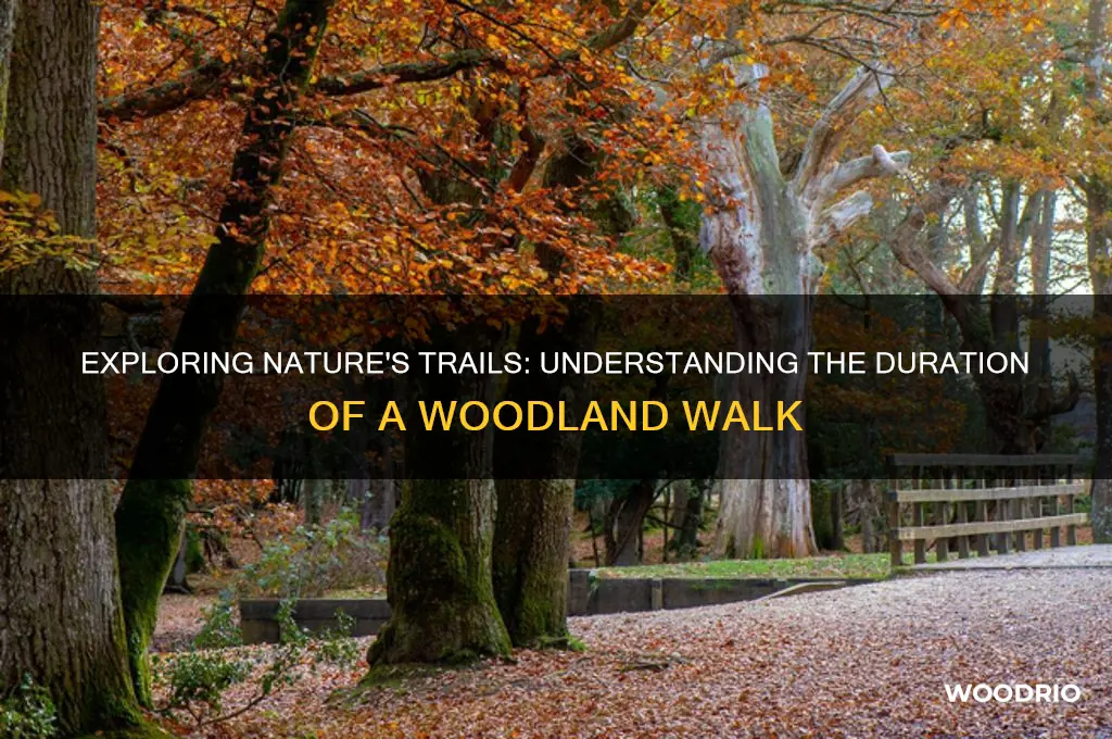 how long is a walk in the woods