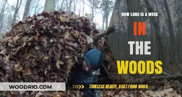 Surviving a Week in the Woods: Time, Challenges, and Nature's Rhythm