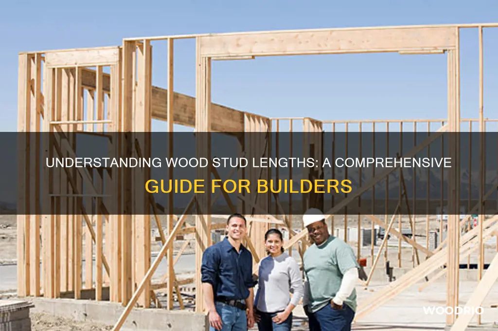 how long is a wood stud