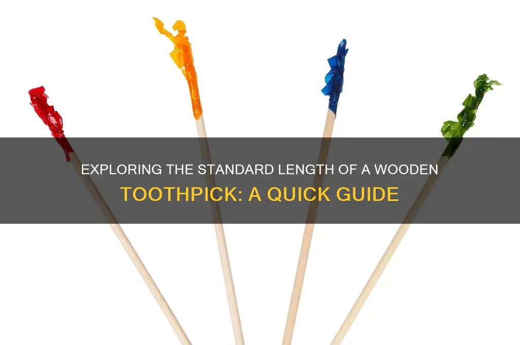 how long is a wooden toothpick