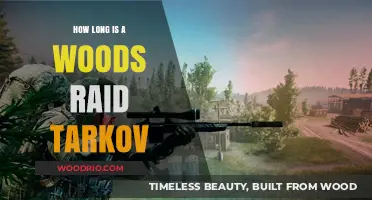 Understanding Woods Raid Duration in Escape from Tarkov: A Comprehensive Guide