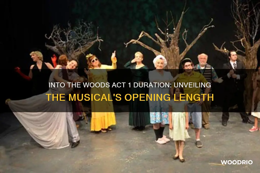 how long is act 1 of into the woods