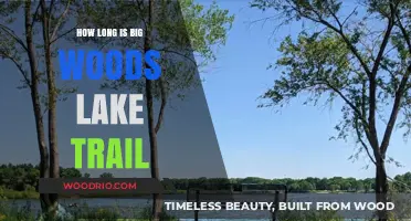 Exploring Big Woods Lake Trail: Duration and Hiking Tips