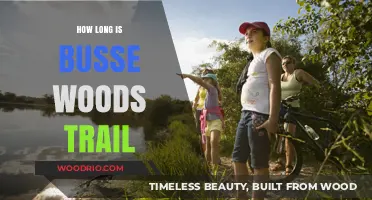 Exploring Busse Woods Trail: Length, Highlights, and Tips for Hikers