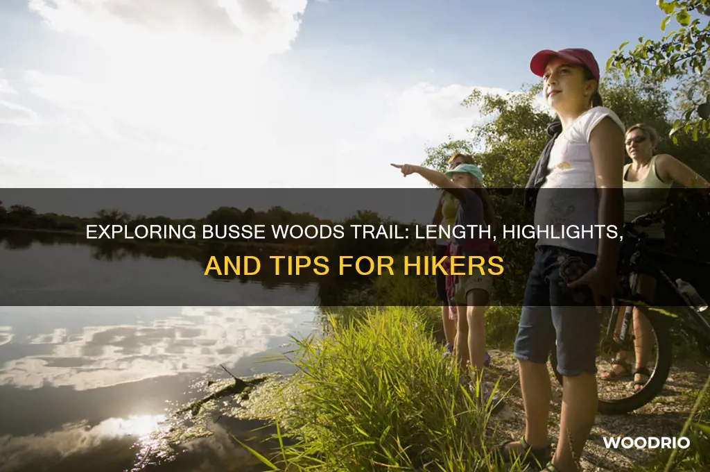 how long is busse woods trail