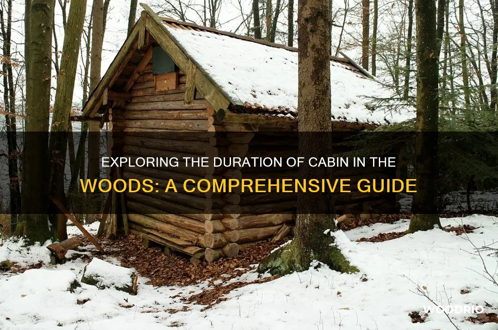 how long is cabin in the woods