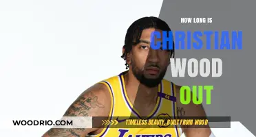 Christian Wood's Injury Timeline: Expected Return Date and Recovery Updates