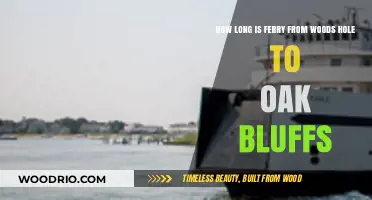 Woods Hole to Oak Bluffs Ferry: Duration and Travel Tips