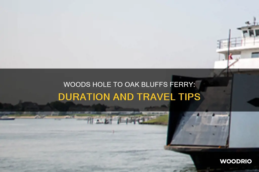 how long is ferry from woods hole to oak bluffs