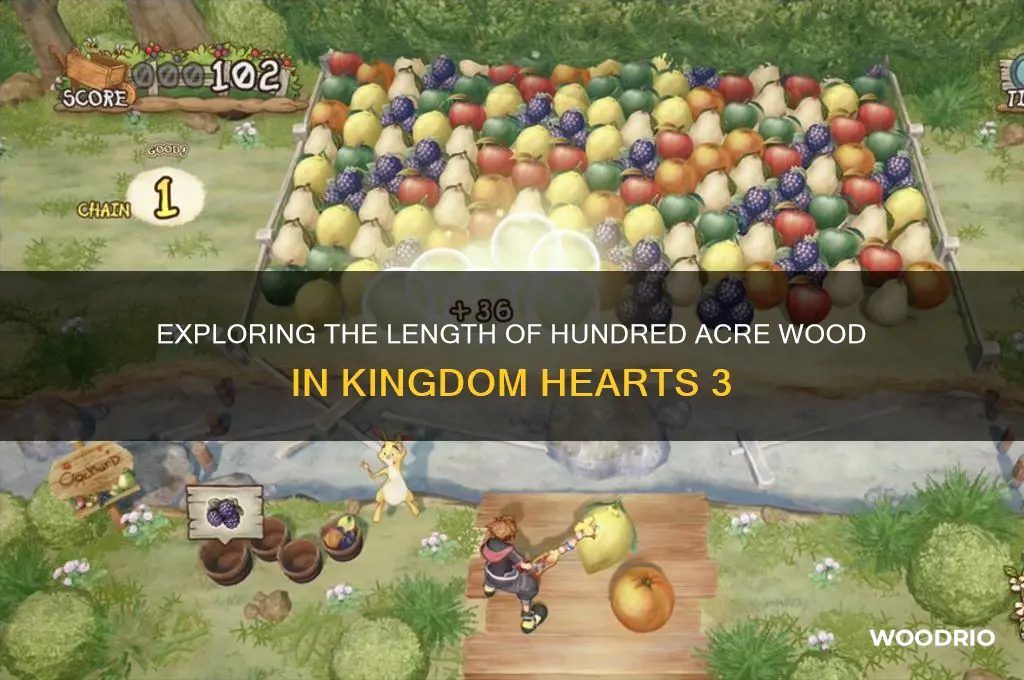 how long is hundred acre woods in kh3