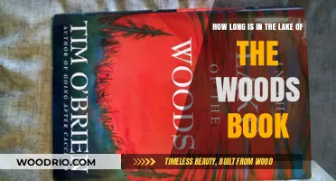 Exploring the Length of 'In the Lake of the Woods' Novel