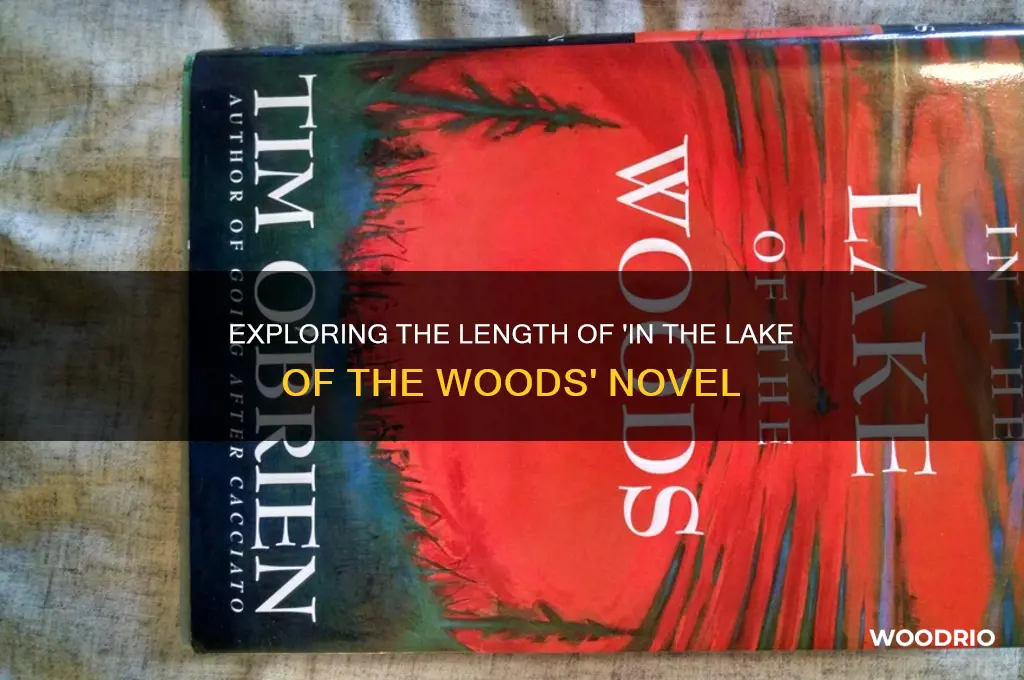 how long is in the lake of the woods book
