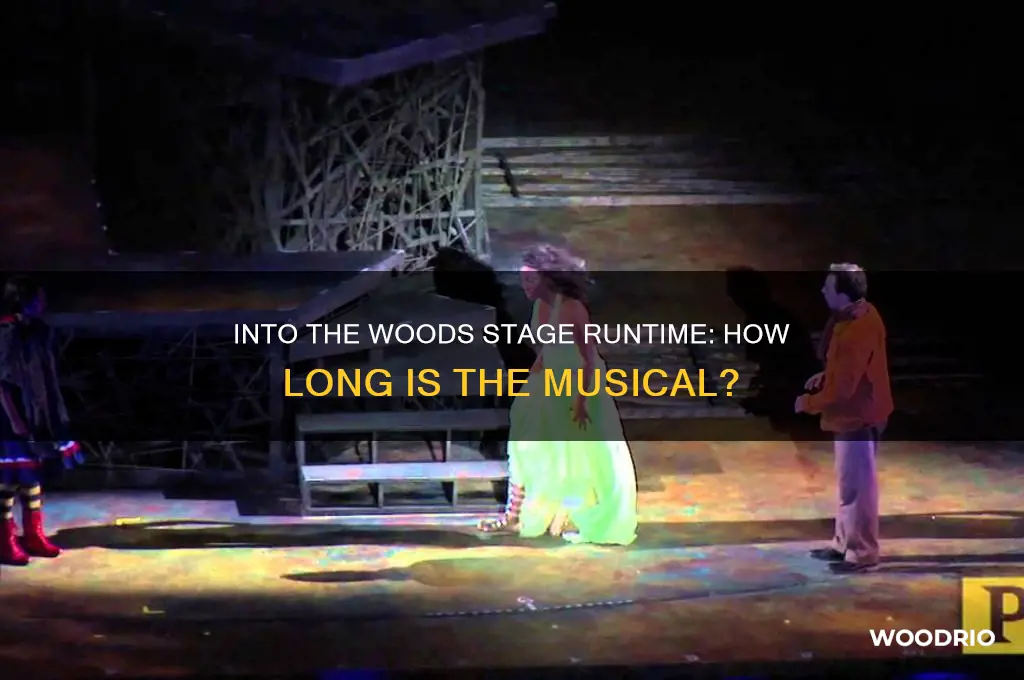 how long is into the woods on stage