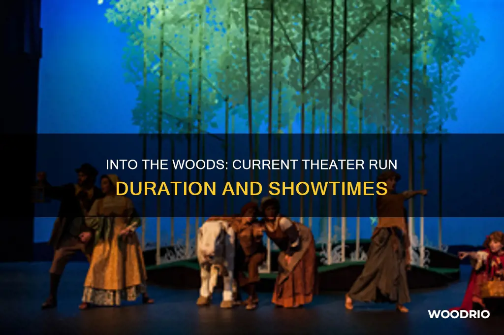 how long is into the woods playing in theaters