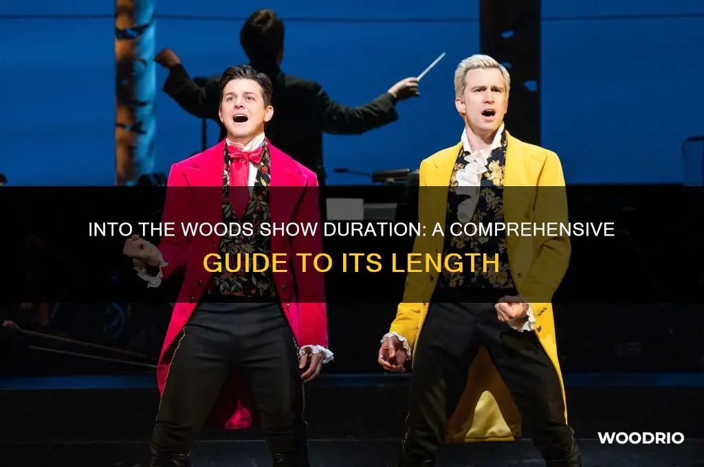 how long is into the woods show