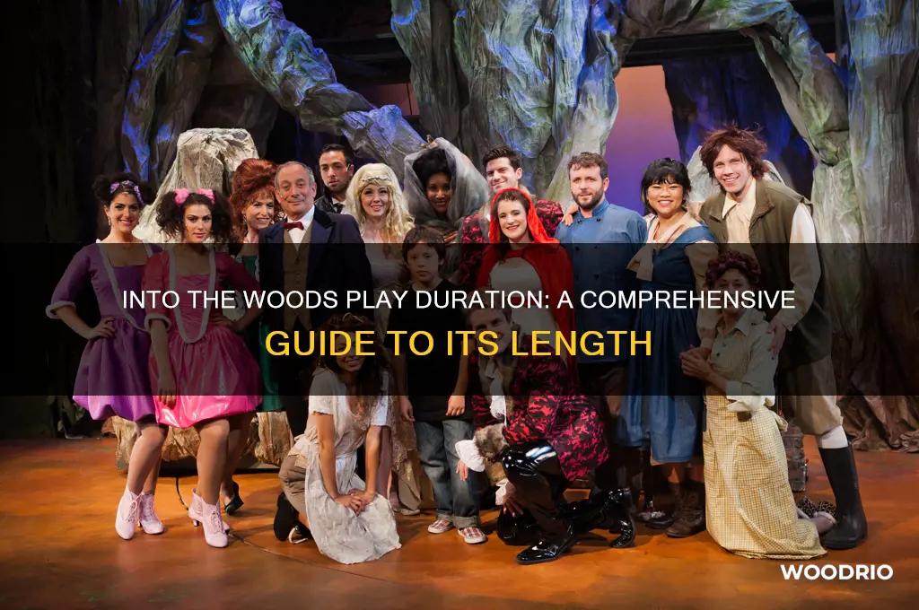 how long is into the woods the play