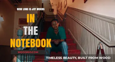 Exploring Joy Woods' Role Duration in The Notebook: A Detailed Analysis