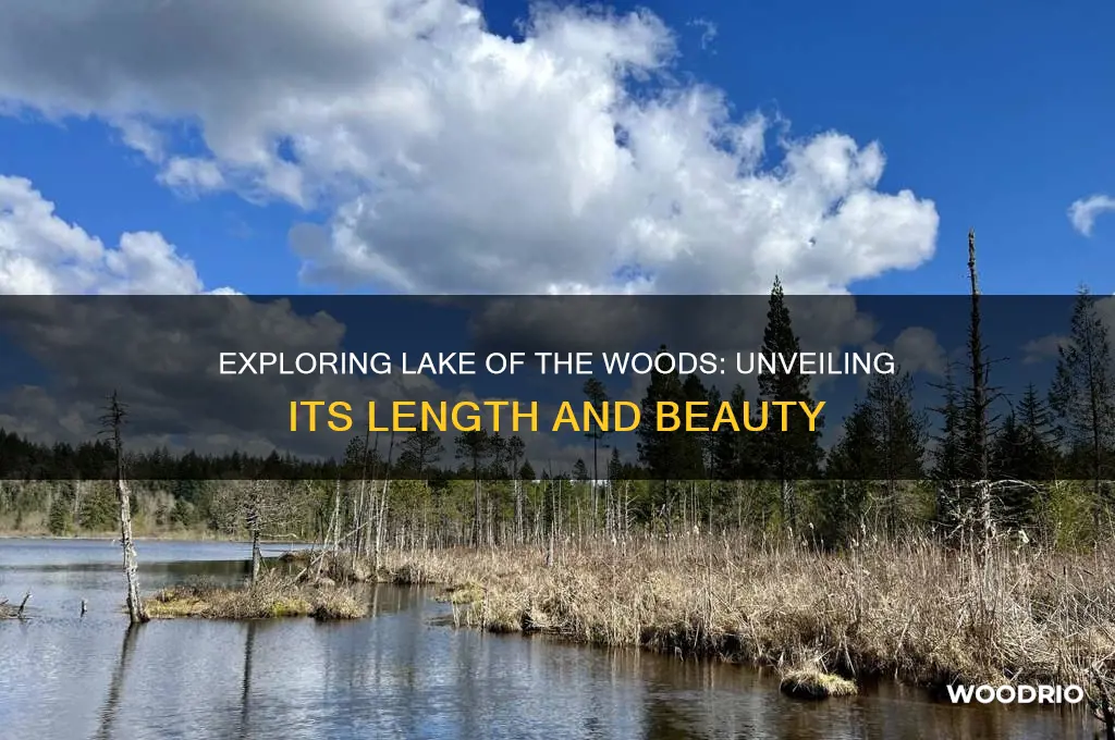 how long is lake of the woods