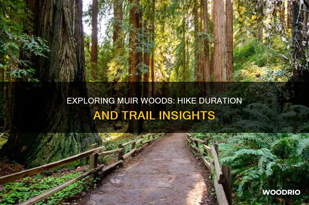 how long is muir woods hike
