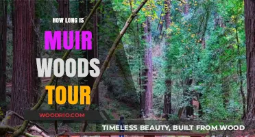 Exploring Muir Woods: Tour Duration and What to Expect