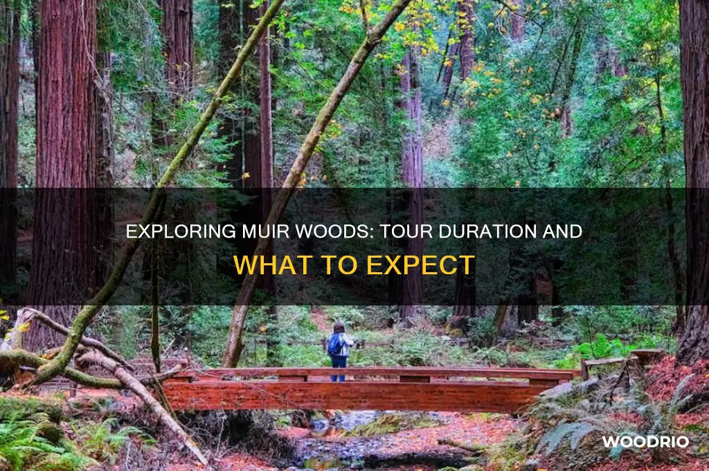 how long is muir woods tour
