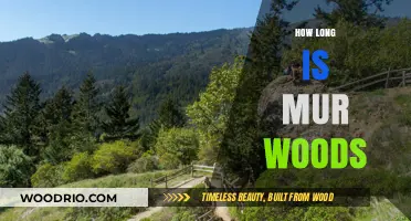 Exploring Muir Woods: Unveiling the Length of Its Majestic Trails