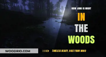 Exploring the Length of Night in the Woods: A Detailed Guide