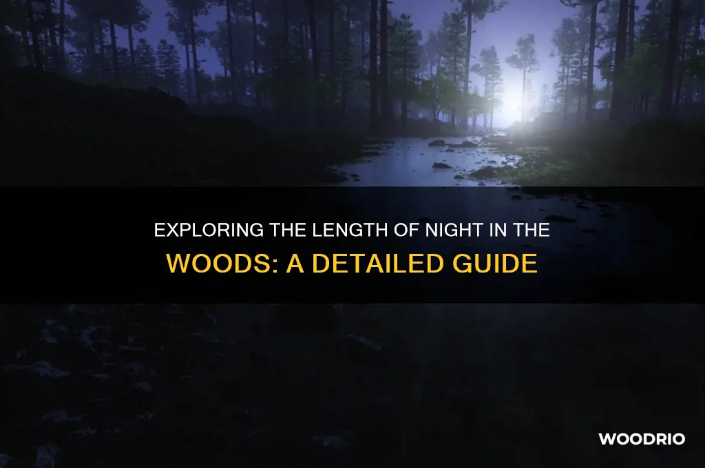 how long is night in the woods