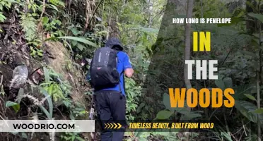 Penelope's Woodland Journey: Unraveling the Duration of Her Forest Adventure