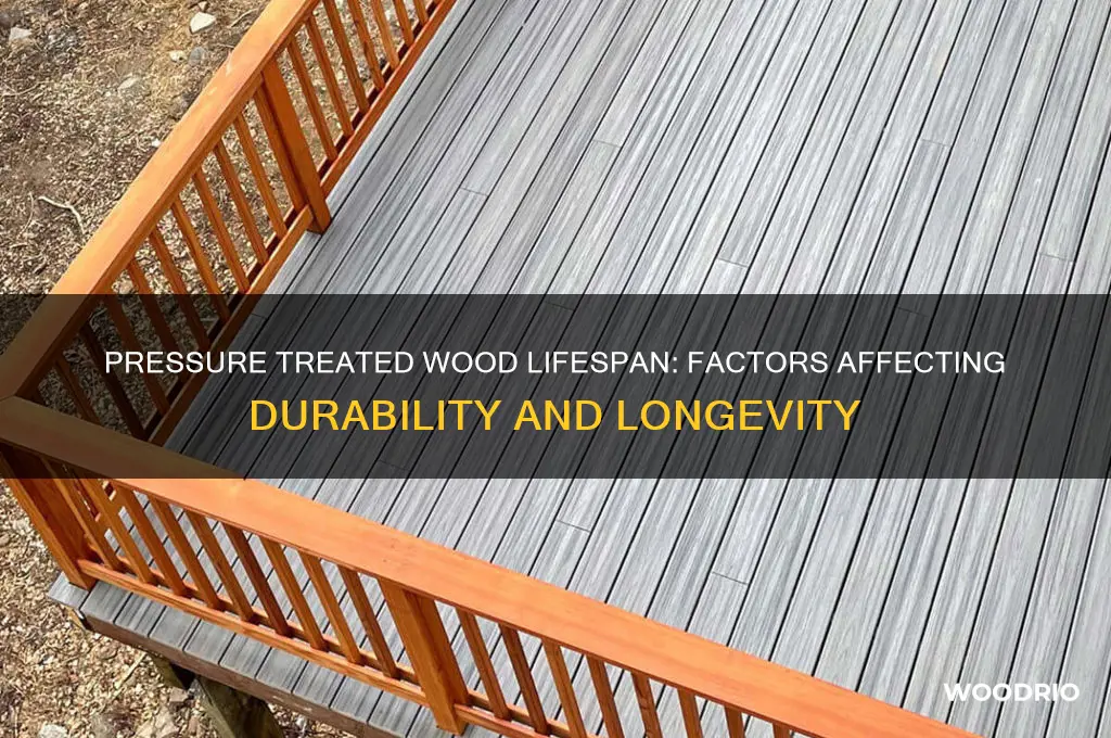 how long is pressure treated wood last