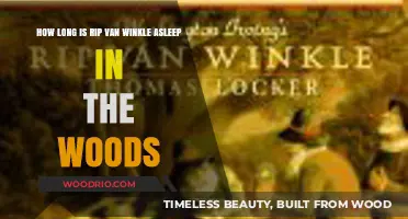 Rip Van Winkle's Slumber: Unraveling the Duration of His Mystical Sleep