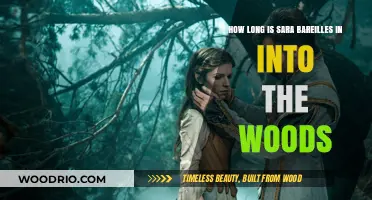 Sara Bareilles' Into the Woods Stint: Duration and Highlights