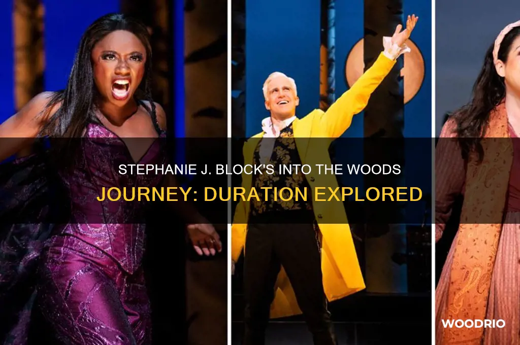 how long is stephanie j block in into the woods