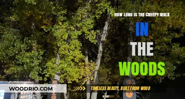 Unveiling the Eerie Length of the Creepy Walk in the Woods