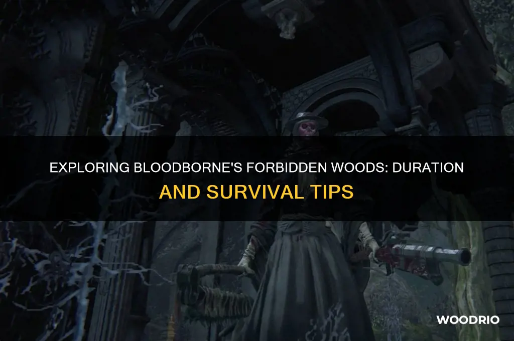 how long is the forbidden woods bloodborne