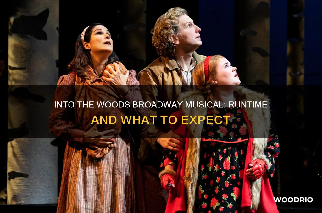 how long is the into the woods boradway musical rubntime