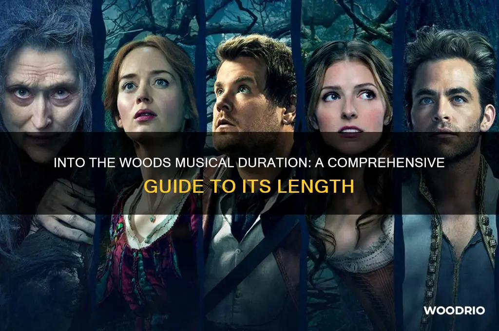 how long is the into the woods musical
