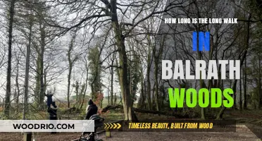 Exploring Balrath Woods: Unveiling the Length of the Long Walk