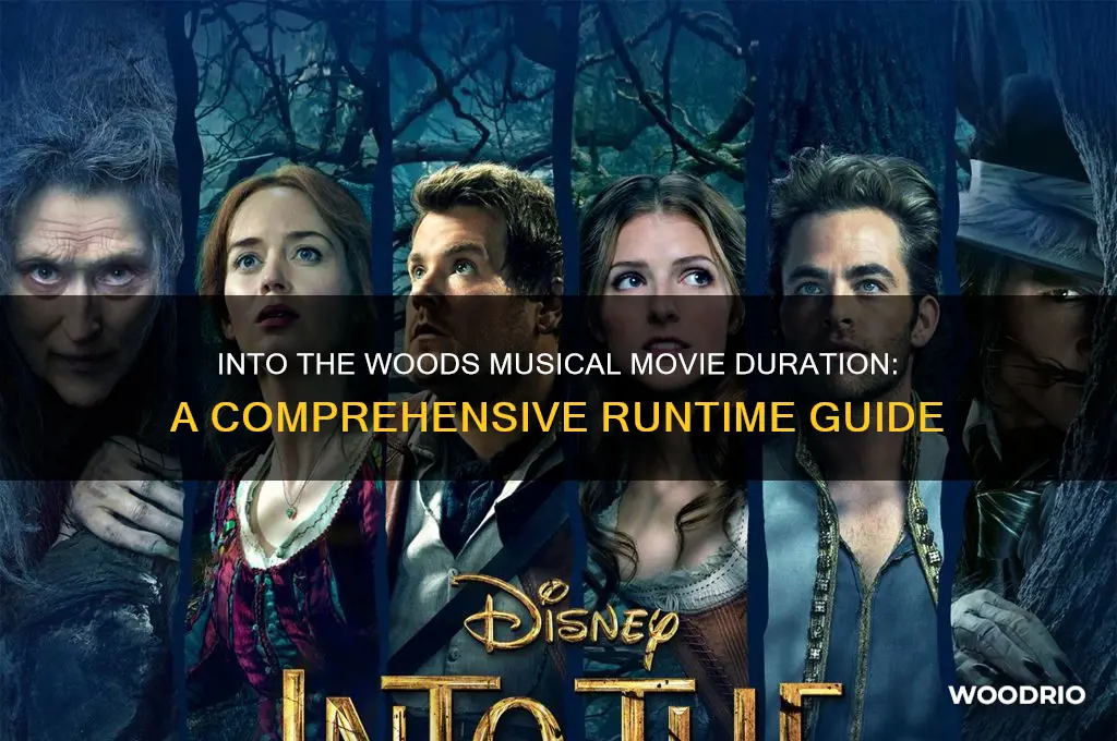 how long is the movie into the woods musical