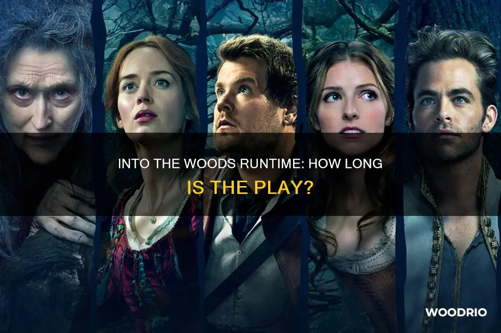 how long is the play into the woods