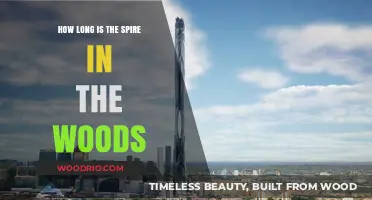 Unveiling the Mystery: Spire in the Woods' Height Explored