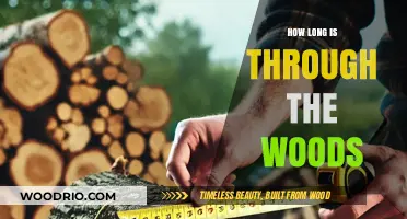 Exploring the Length of 'Through the Woods': A Comprehensive Guide