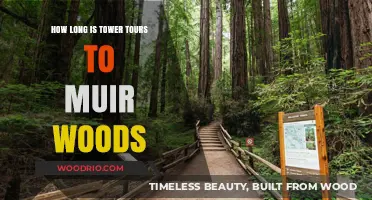Exploring Muir Woods: Tower Tours Duration and Travel Tips