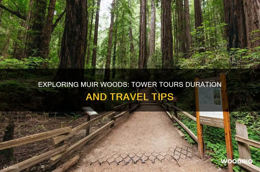 how long is tower tours to muir woods